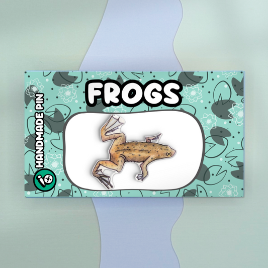 African Dwarf Frog