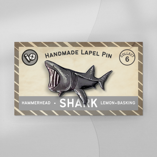 Basking Shark