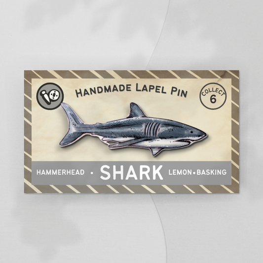 Great White Shark