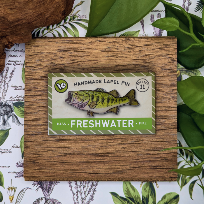 Largemouth Bass