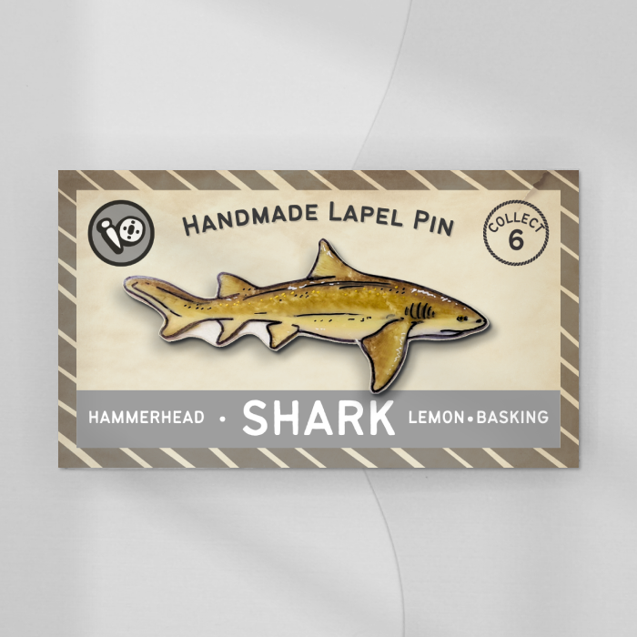 Lemon Shark