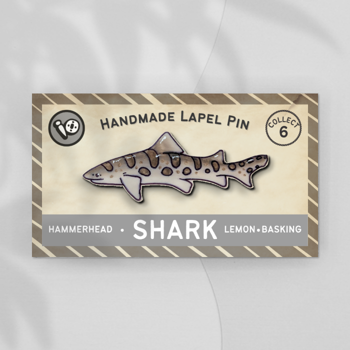 Leopard Shark