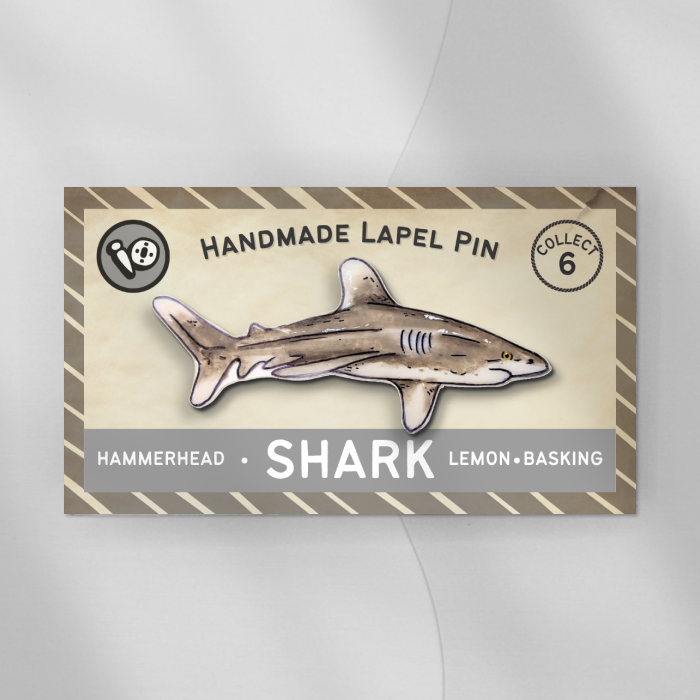 White Tip Shark