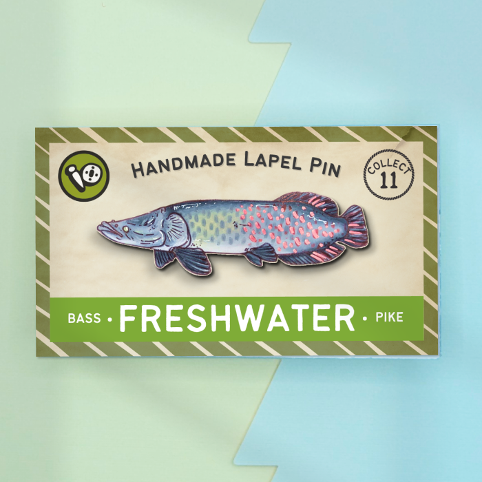 Arapaima – Pinnows