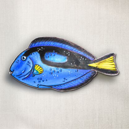 Blue Tang