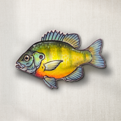 Bluegill
