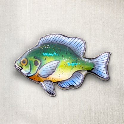 Bluegill