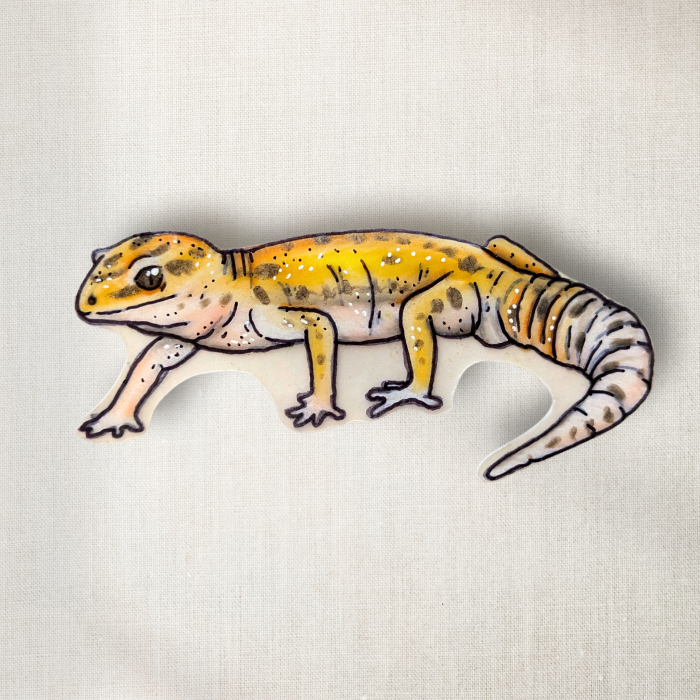 Leopard Gecko