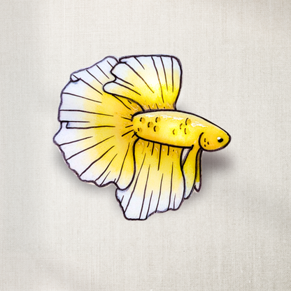 Yellow Butterfly Betta