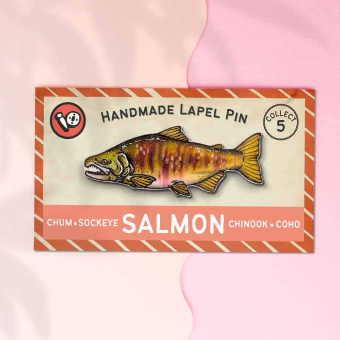 Chum Salmon