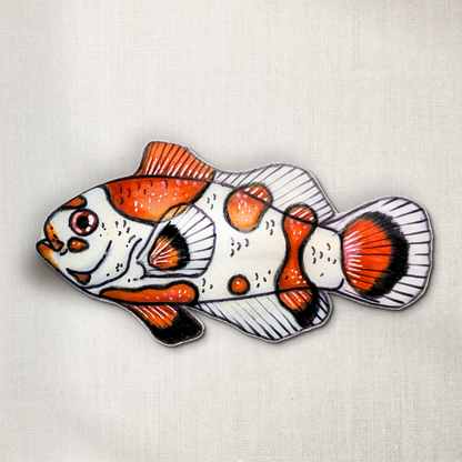 Clown Fish