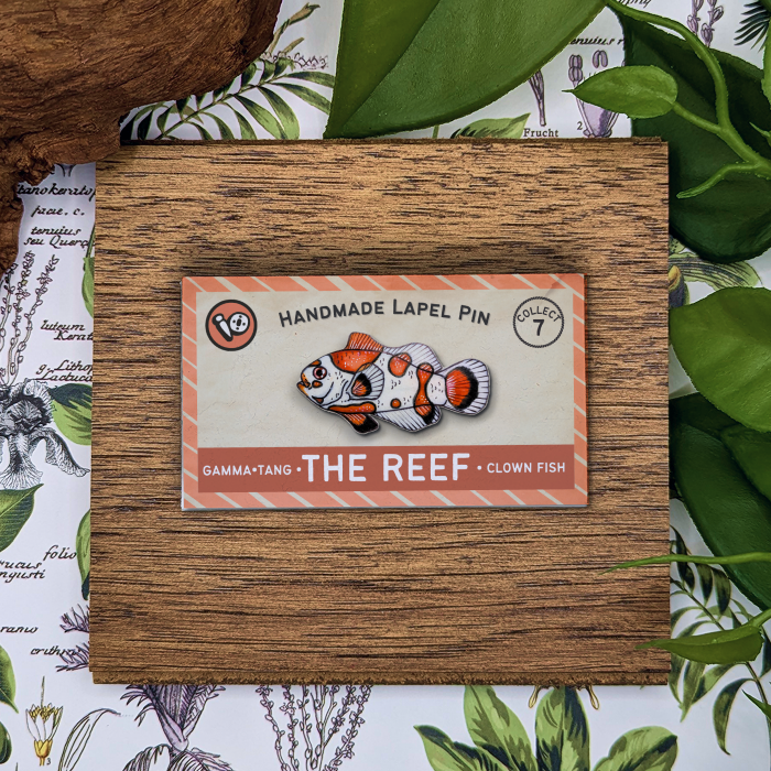 Clown Fish