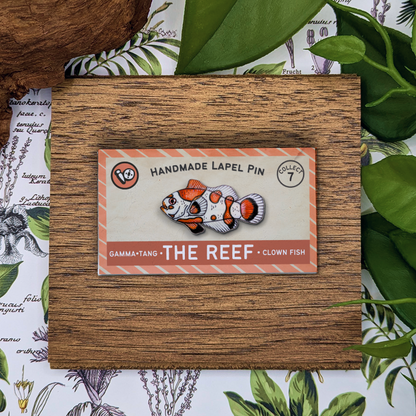 Clown Fish