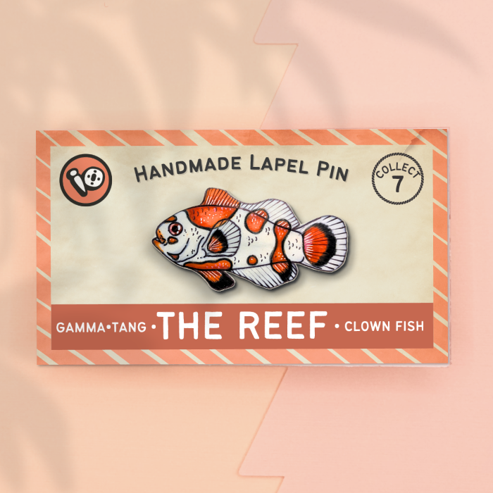 Clown Fish