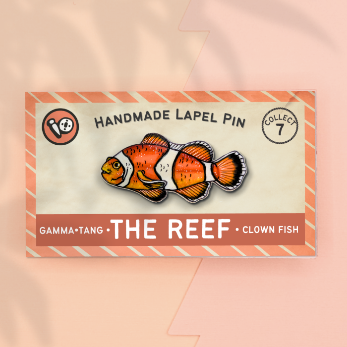 Clown Fish