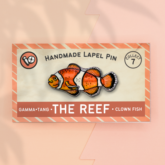 Clown Fish