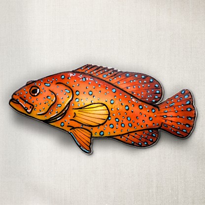 Coral Grouper