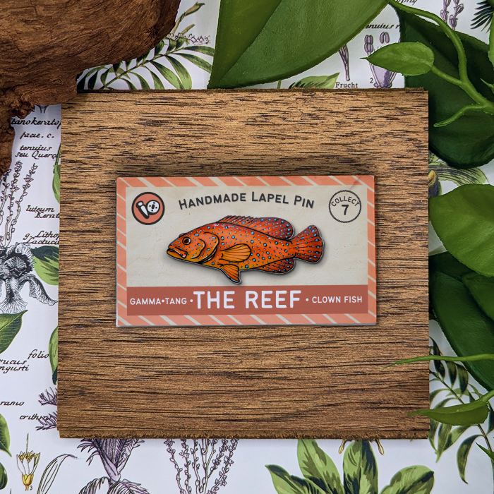 Coral Grouper