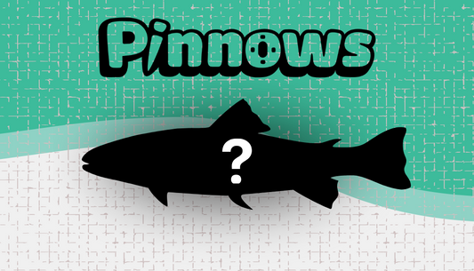 CUSTOM PINNOW