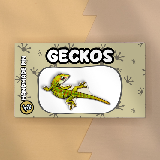 Day Gecko