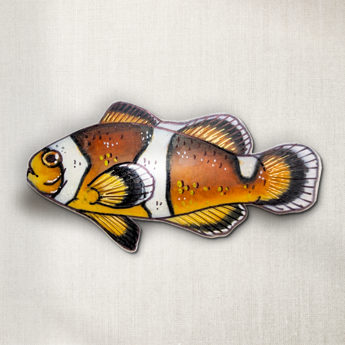 Clown Fish