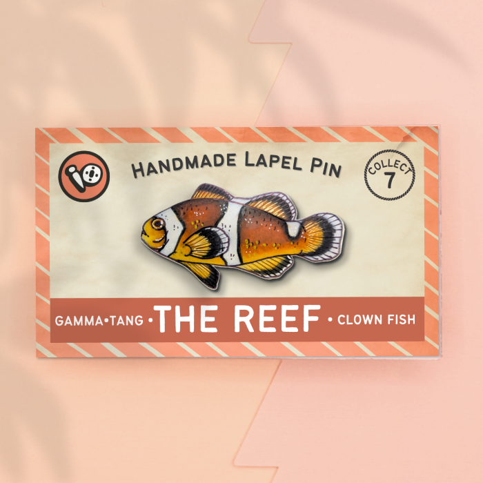Clown Fish