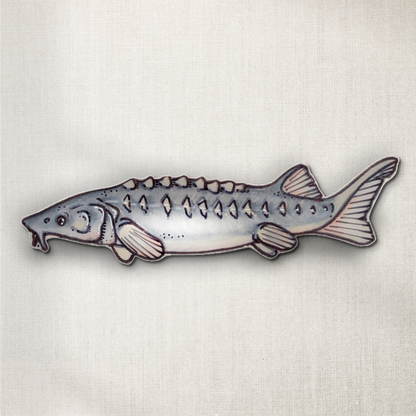 River Sturgeon