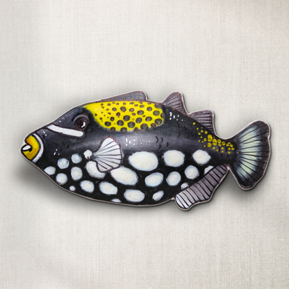 Trigger Fish
