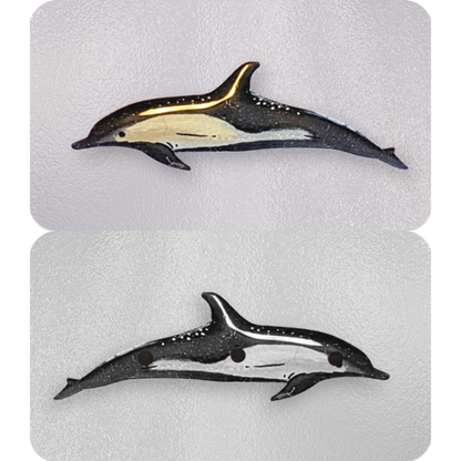 Short Beaked Dolphin