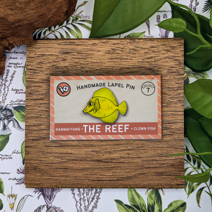 Yellow Tang
