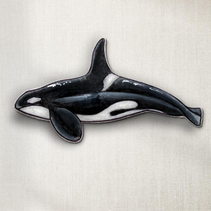 Orca Whale