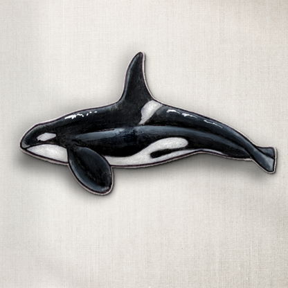 Orca Whale