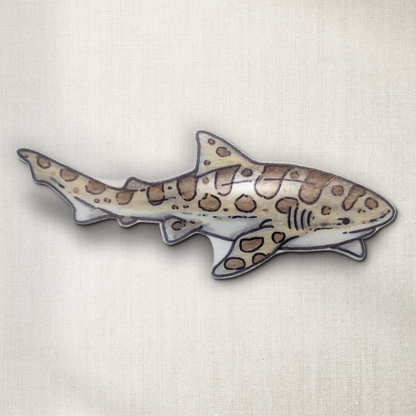Leopard Shark
